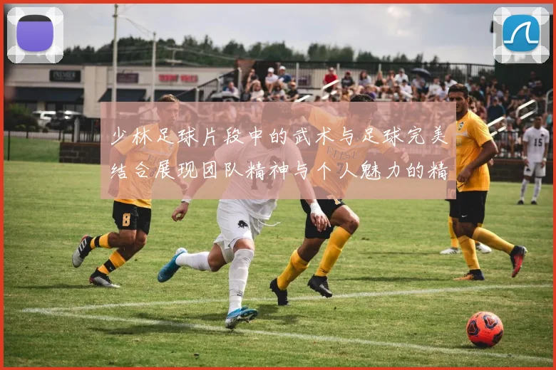 少林足球片段中的武术与足球完美结合展现团队精神与个人魅力的精彩瞬间