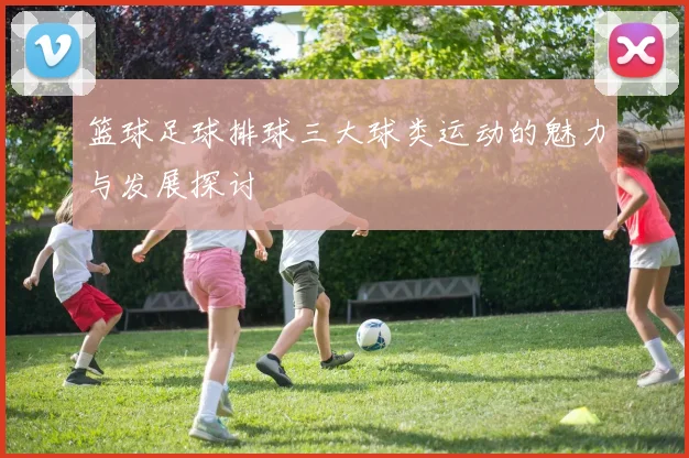 篮球足球排球三大球类运动的魅力与发展探讨