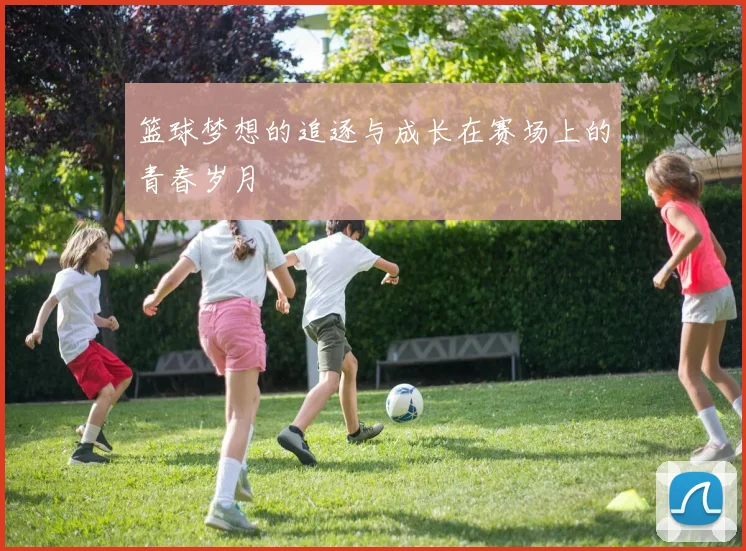 篮球梦想的追逐与成长在赛场上的青春岁月
