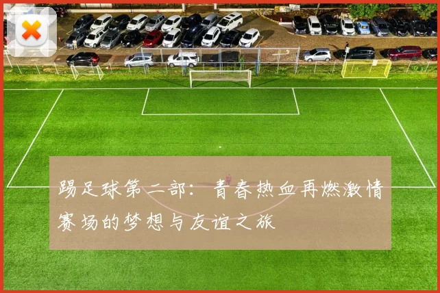 踢足球第二部：青春热血再燃激情赛场的梦想与友谊之旅