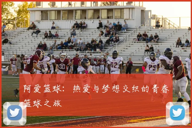 阿爱篮球：热爱与梦想交织的青春篮球之旅
